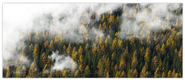 Tablou - Pădure în nori (120x50 cm)