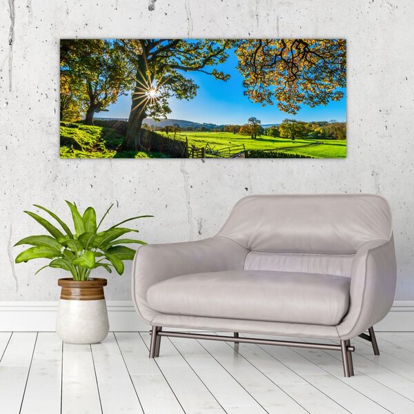 Tablou Privire la câmp (120x50 cm)