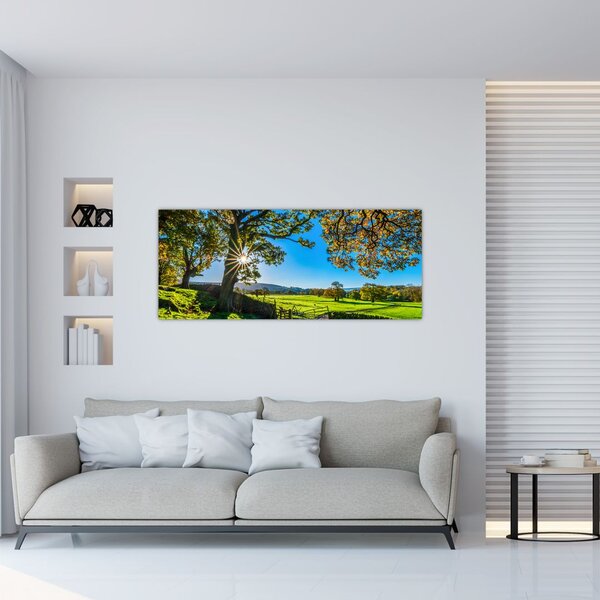 Tablou Privire la câmp (120x50 cm)