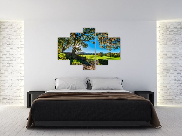 Tablou Privire la câmp (150x105 cm)