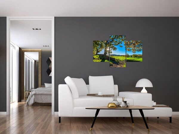 Tablou Privire la câmp (90x60 cm)