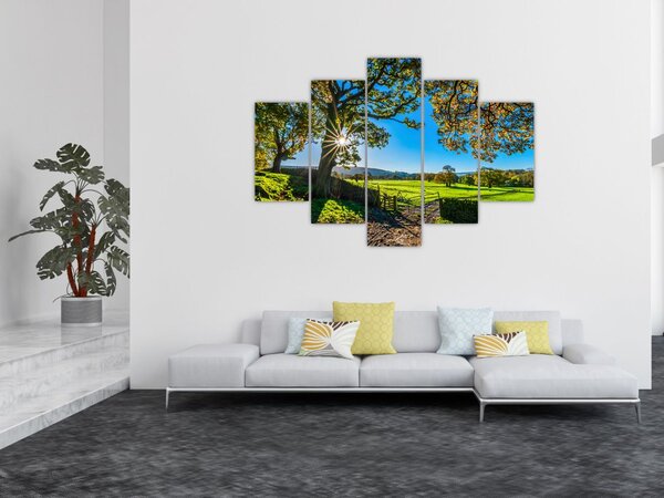 Tablou Privire la câmp (150x105 cm)