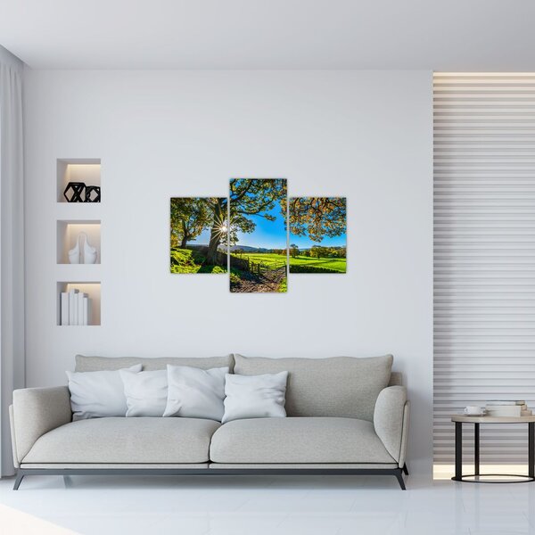 Tablou Privire la câmp (90x60 cm)