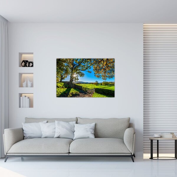 Tablou Privire la câmp (90x60 cm)