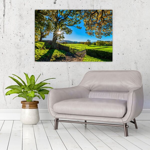 Tablou Privire la câmp (90x60 cm)