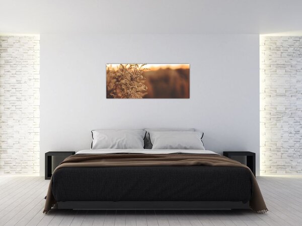 Tablou - Iarba înflorită (120x50 cm)