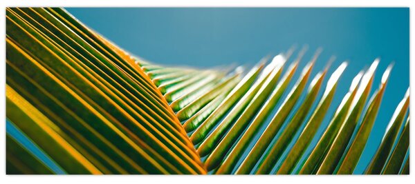 Tablou - Frunze de palmier (120x50 cm)
