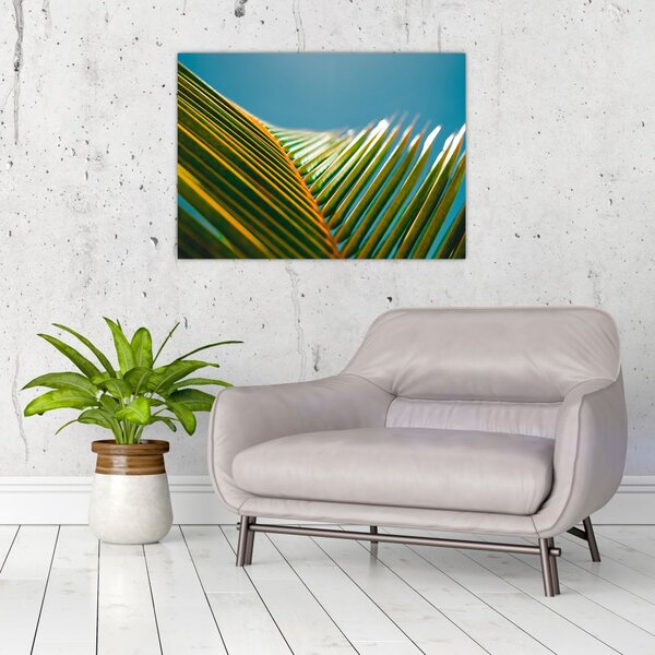 Tablou - Frunze de palmier (70x50 cm)