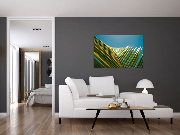 Tablou - Frunze de palmier (90x60 cm)