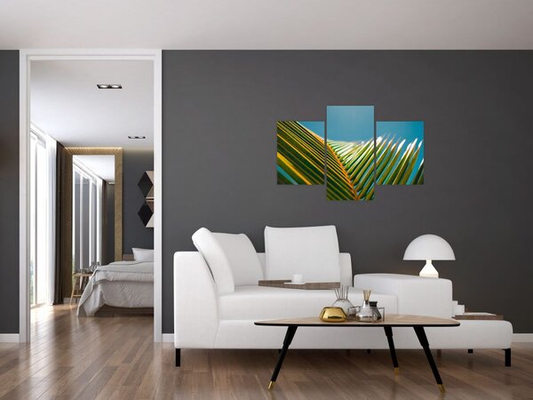 Tablou - Frunze de palmier (90x60 cm)