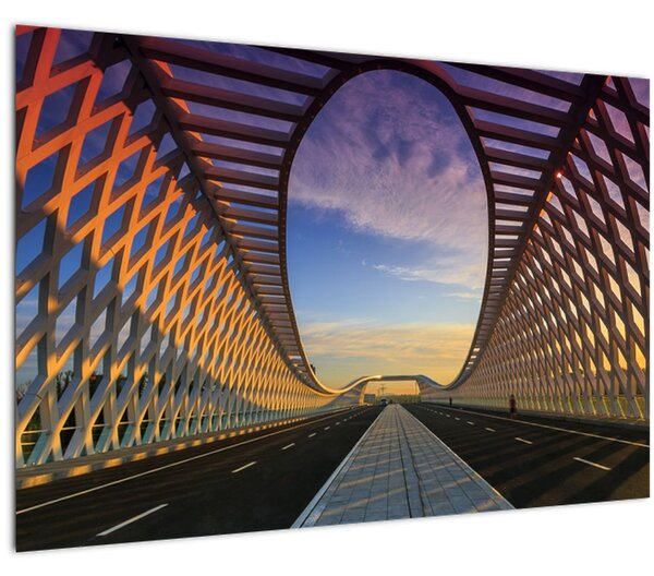 Tablou - Pod cu arhitectură modernă (90x60 cm)