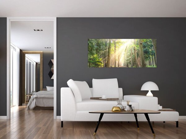 Tablou - Poteci în pădure (120x50 cm)