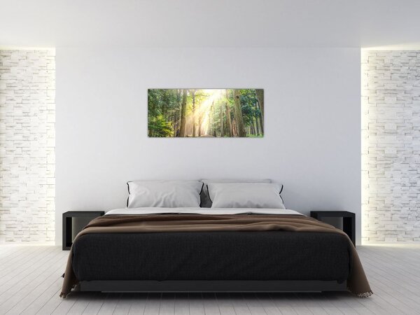 Tablou - Poteci în pădure (120x50 cm)