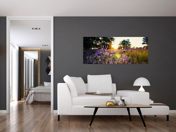 Tablou - Câmp cu lavandă (120x50 cm)