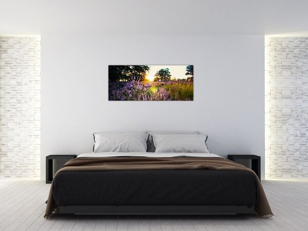 Tablou - Câmp cu lavandă (120x50 cm)