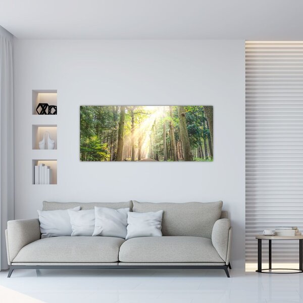 Tablou - Poteci în pădure (120x50 cm)