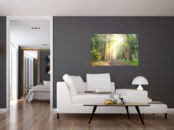 Tablou - Poteci în pădure (90x60 cm)