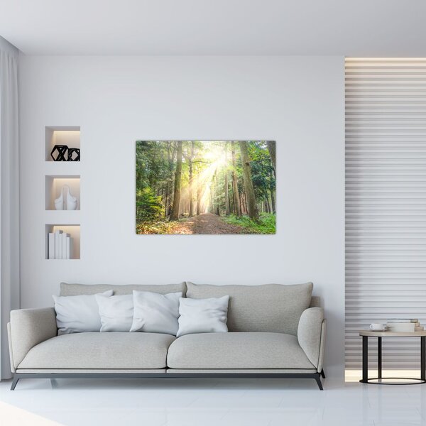 Tablou - Poteci în pădure (90x60 cm)