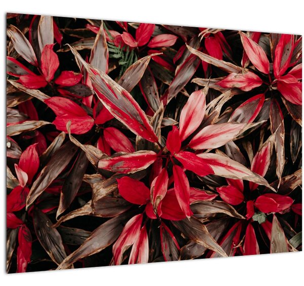 Tablou - Petale roșii (70x50 cm)