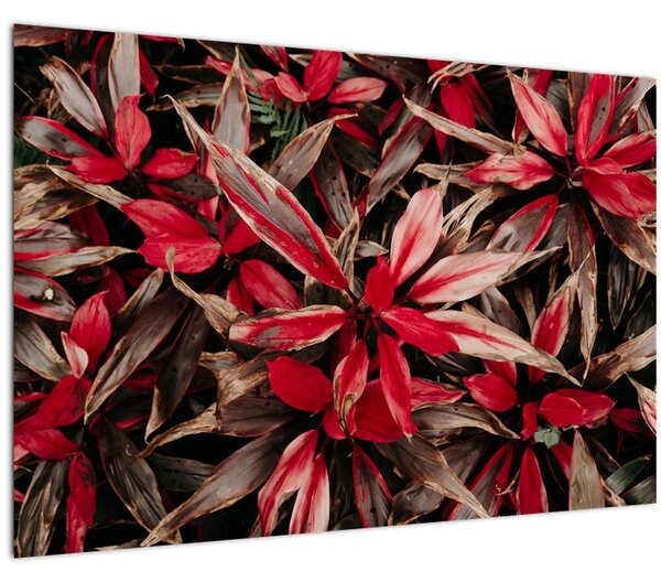 Tablou - Petale roșii (90x60 cm)