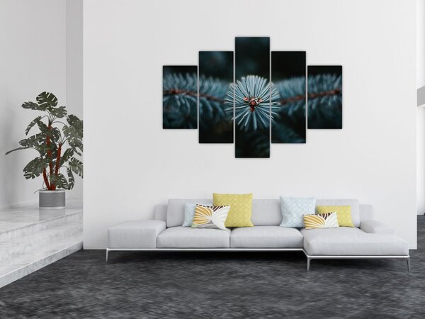 Tablou -Crenguțe ale unui conifer (150x105 cm)