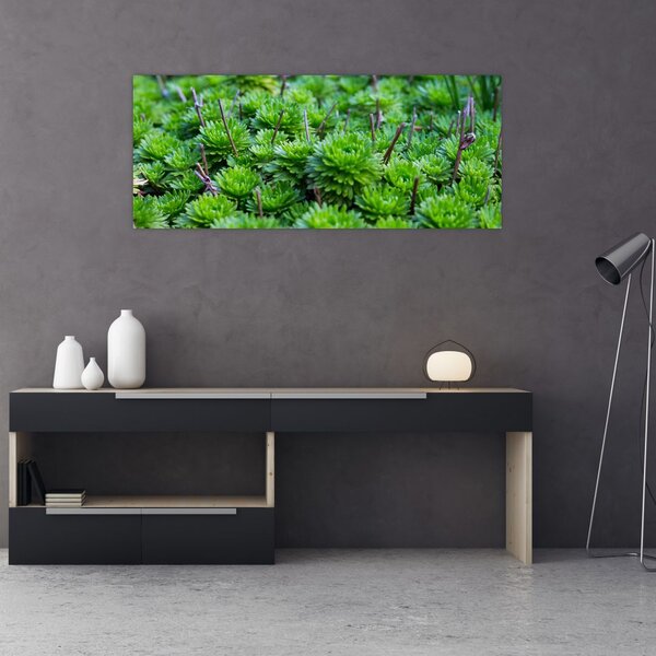 Tablou - Aloe (120x50 cm)