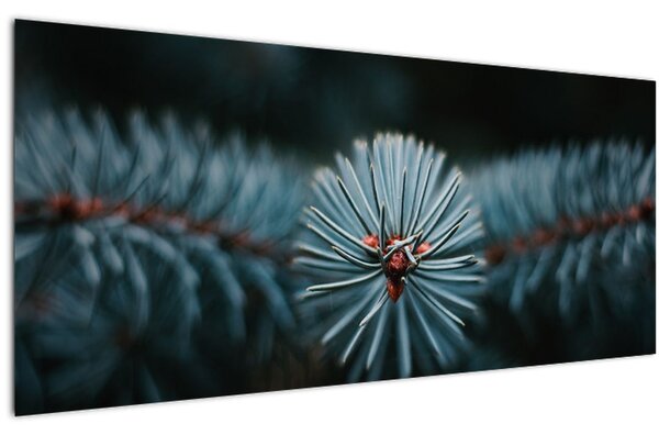 Tablou -Crenguțe ale unui conifer (120x50 cm)