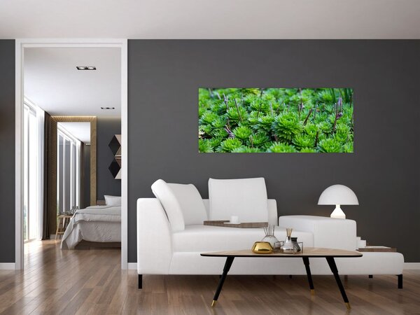 Tablou - Aloe (120x50 cm)