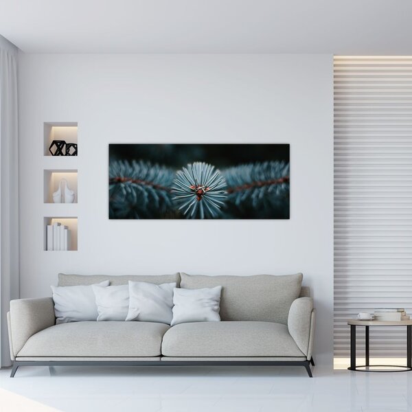 Tablou -Crenguțe ale unui conifer (120x50 cm)