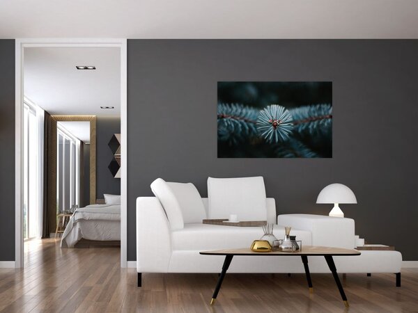 Tablou -Crenguțe ale unui conifer (90x60 cm)