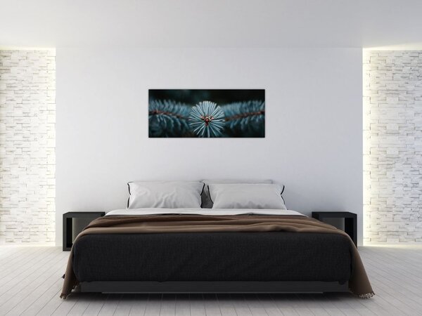 Tablou -Crenguțe ale unui conifer (120x50 cm)