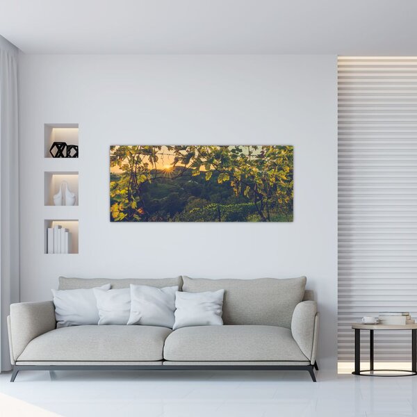 Tablou - Podgorii (120x50 cm)