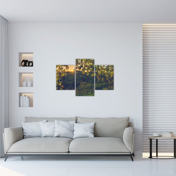 Tablou - Podgorii (90x60 cm)