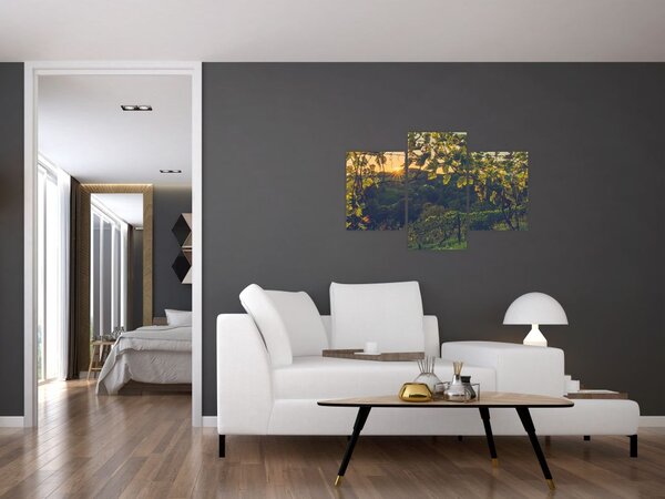 Tablou - Podgorii (90x60 cm)