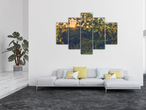 Tablou - Podgorii (150x105 cm)