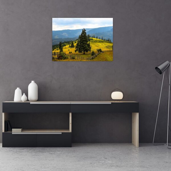 Tablou - Lunca de munte (70x50 cm)