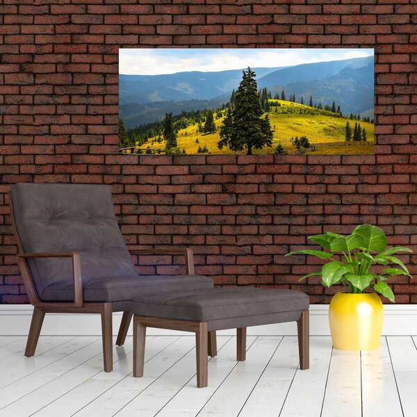 Tablou - Lunca de munte (120x50 cm)
