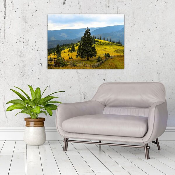 Tablou - Lunca de munte (70x50 cm)