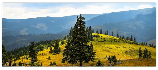 Tablou - Lunca de munte (120x50 cm)