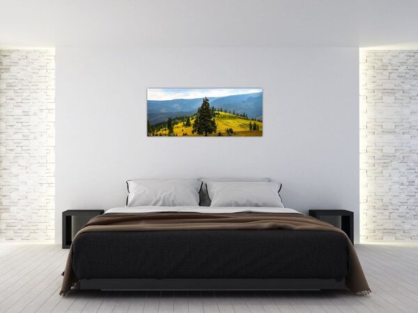 Tablou - Lunca de munte (120x50 cm)