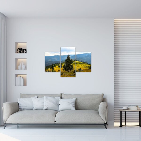 Tablou - Lunca de munte (90x60 cm)