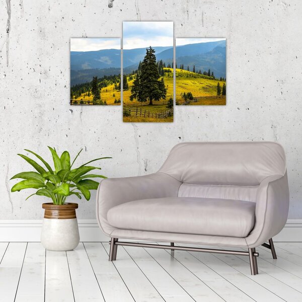 Tablou - Lunca de munte (90x60 cm)