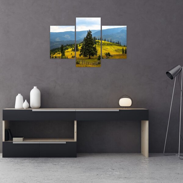Tablou - Lunca de munte (90x60 cm)