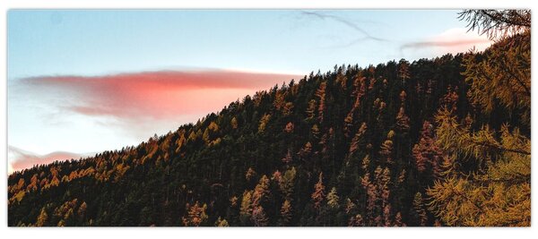 Tablou - Zori de zi (120x50 cm)