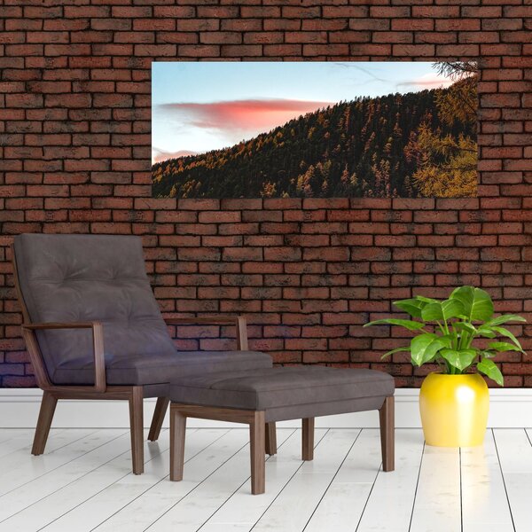 Tablou - Zori de zi (120x50 cm)
