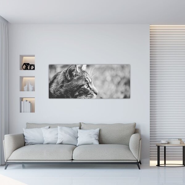 Tablou - Pisica (120x50 cm)