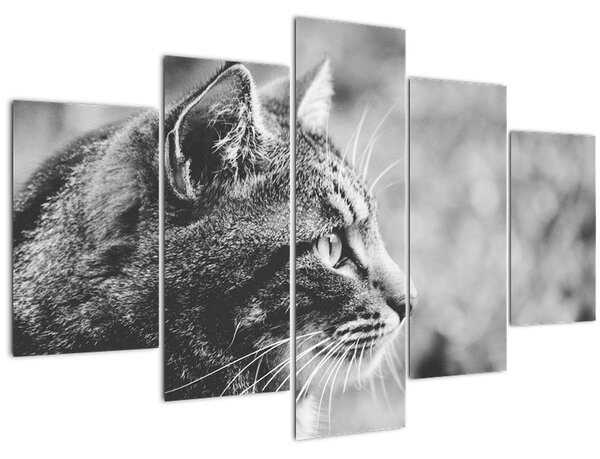 Tablou - Pisica (150x105 cm)
