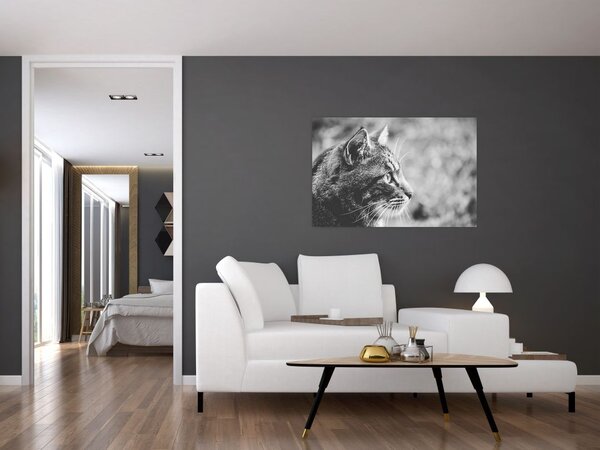 Tablou - Pisica (90x60 cm)