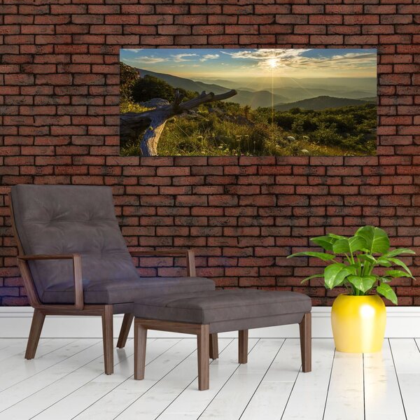 Tablou - Priveliștea (120x50 cm)