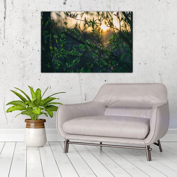 Tablou - Soarele strălucind printre crengile copacilor (90x60 cm)